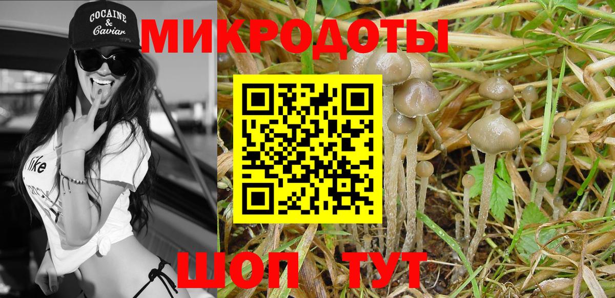 Псилоцибиновые грибы Cubensis Арзамас