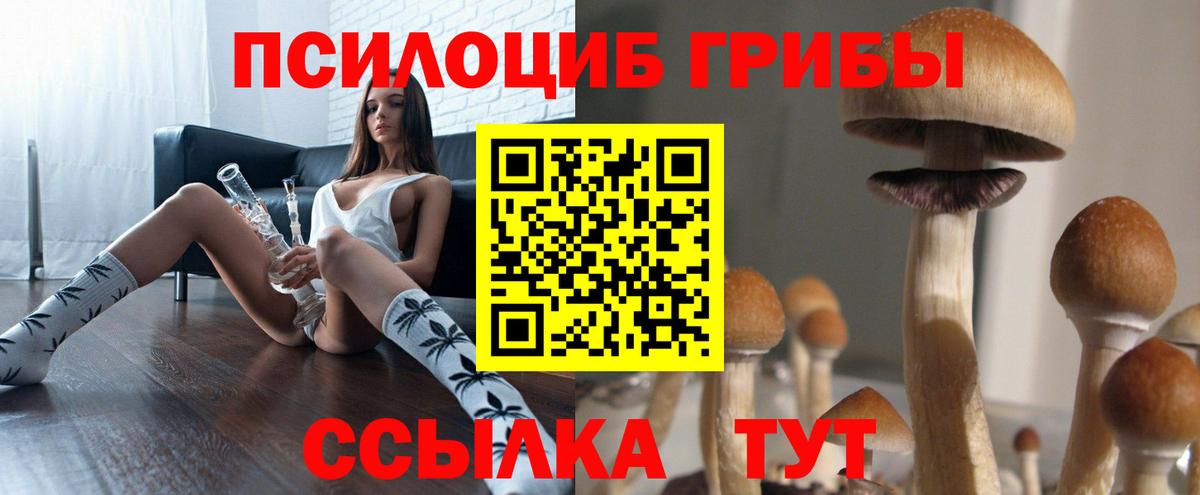 цена наркотик  Псилоцибиновые грибы GOLDEN TEACHER  Псилоцибиновые грибы Psilocybe  Вход с VPN  Арзамас 